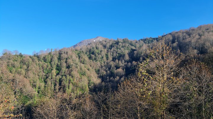 hiking-mount-mtirala-14.jpg