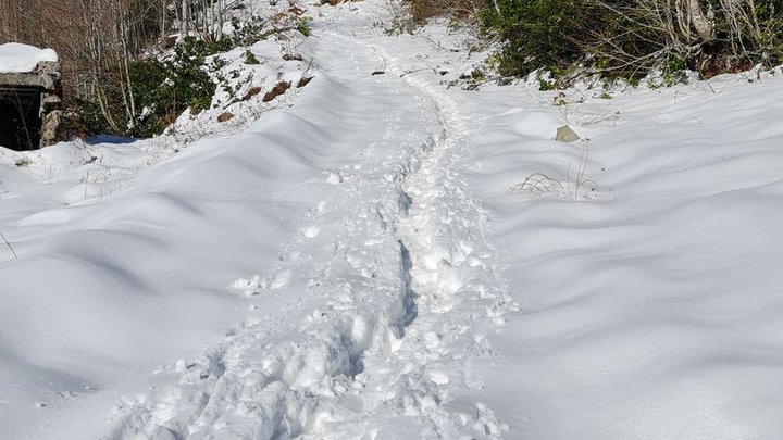 hiking-mount-mtirala-19.jpg