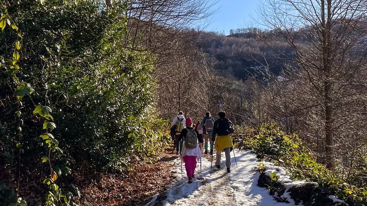 hiking-mount-mtirala-29.JPG