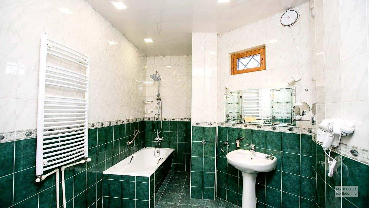 Санузел в номере Hotel Badagi
