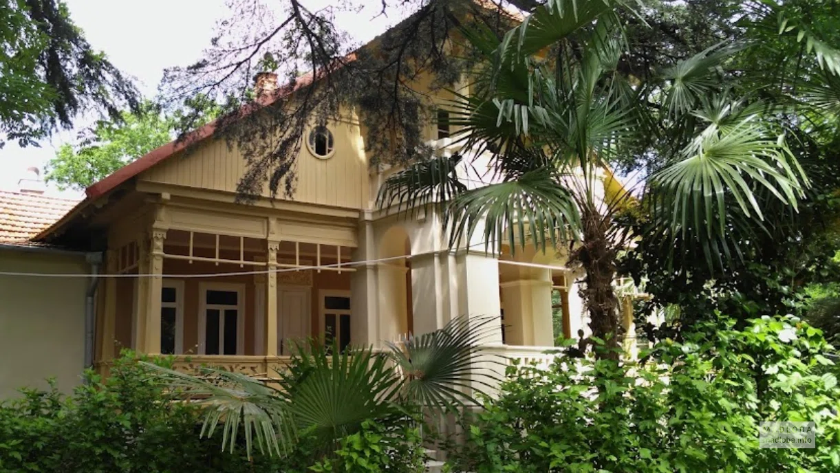 Niko Nikoladze House Museum