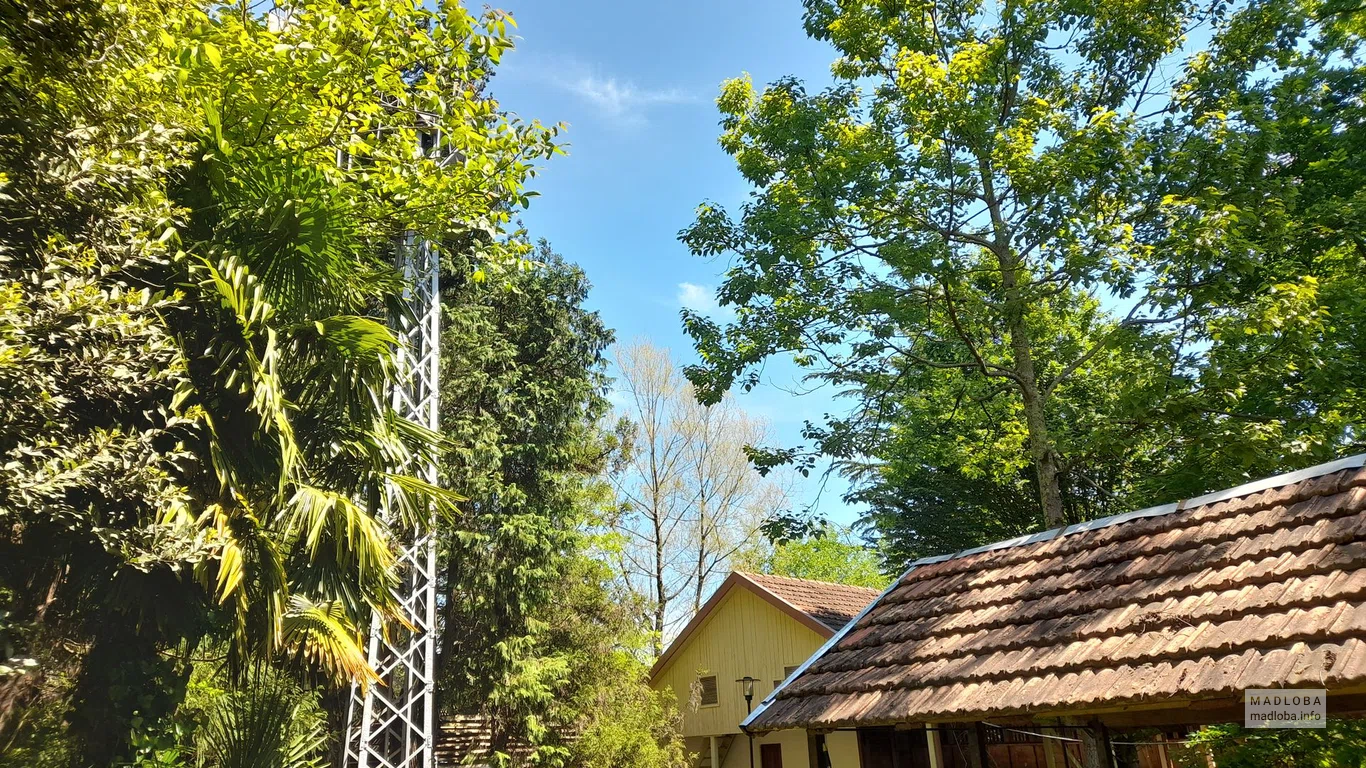 Niko Nikoladze House Museum