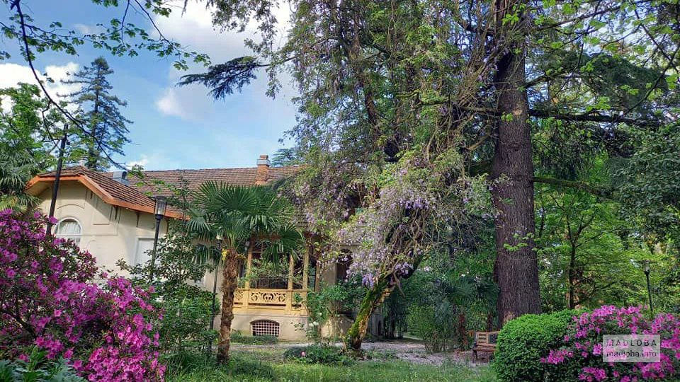 Niko Nikoladze House Museum