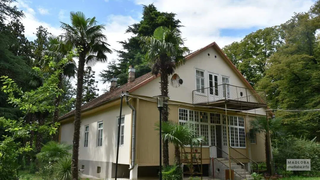 Niko Nikoladze House Museum