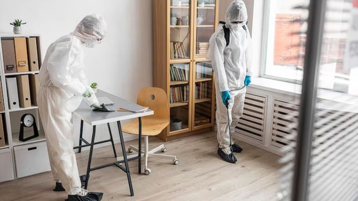 🐛How can you get rid of fleas in your apartment?🏠