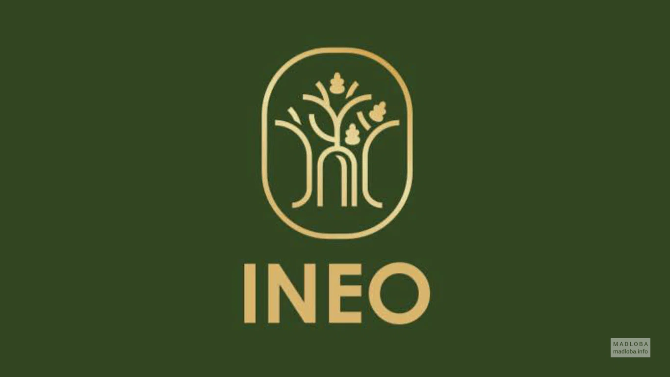 Ineo