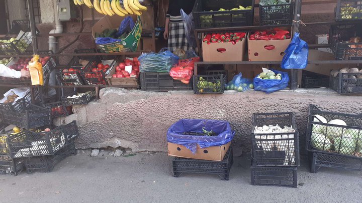 ხილის ბაღი