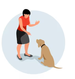 For dogs and cats: schools, clubs, hotels