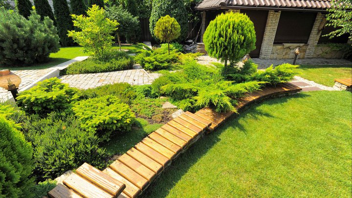 Grass World