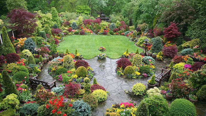 Green Yard