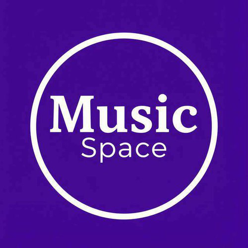 логотип Music Space.jpg