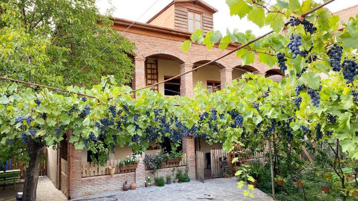 მაგდალენა