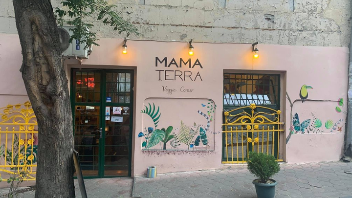 Mama Terra - Vegetarian Corner