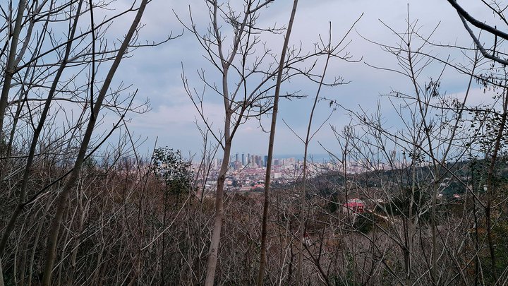 marshrut-Batumi-gora-Anariya-03.jpg