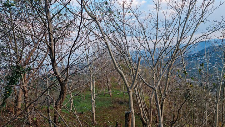 marshrut-Batumi-gora-Anariya-35.jpg