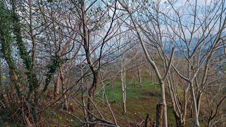 marshrut-Batumi-gora-Anariya-36.jpg