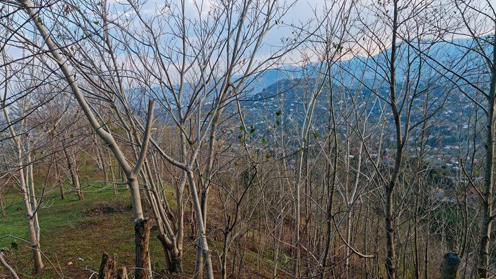 marshrut-Batumi-gora-Anariya-37.jpg