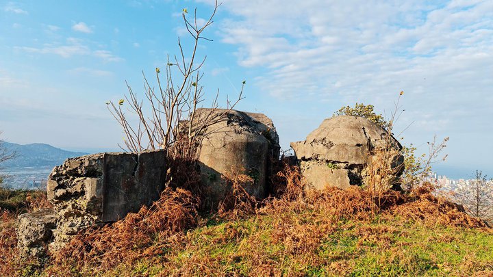 Форд Анария