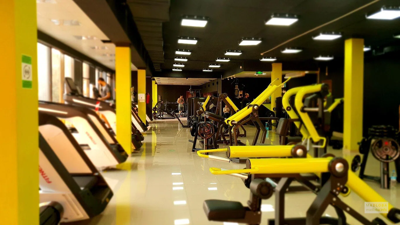 Matrix fitness (Isani)