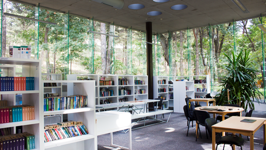 Media library in Vake Park