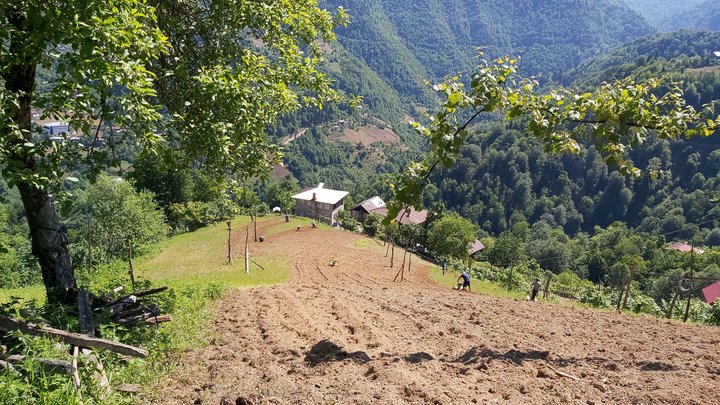 merissi-garetke-georgia-106.jpg
