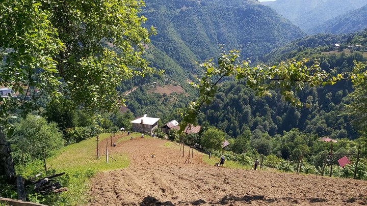 merissi-garetke-georgia-107.jpg