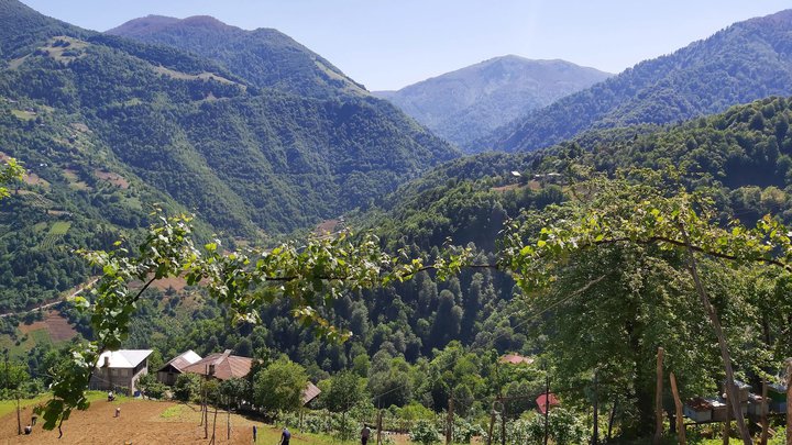 merissi-garetke-georgia-109.jpg