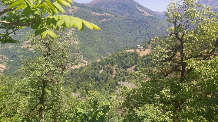 merissi-garetke-georgia-115.jpg