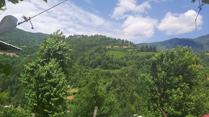 merissi-garetke-georgia-116.jpg