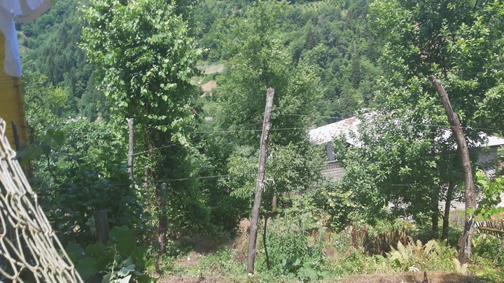 merissi-garetke-georgia-117.jpg