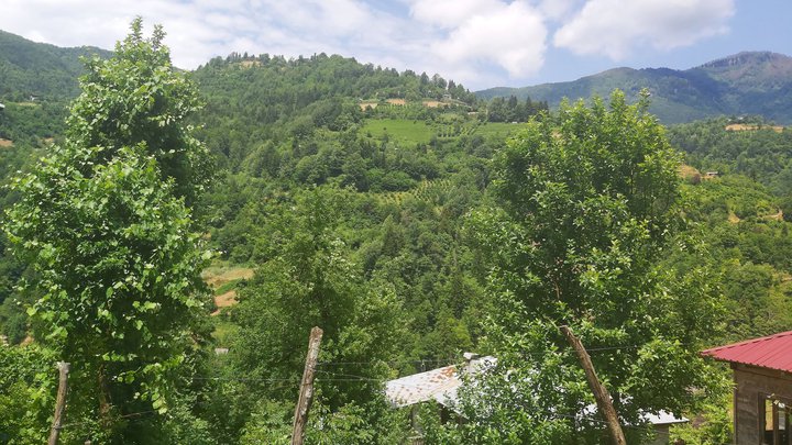 merissi-garetke-georgia-119.jpg
