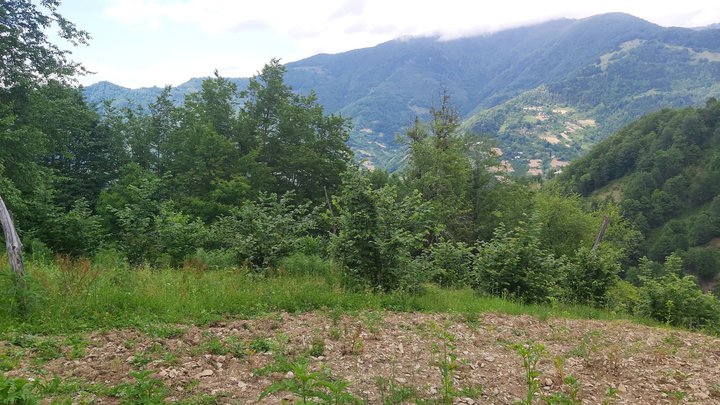 merissi-garetke-georgia-147.jpg