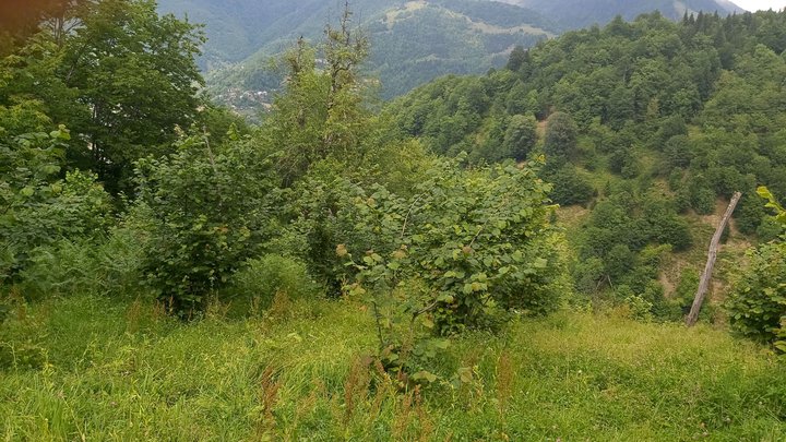 merissi-garetke-georgia-152.jpg