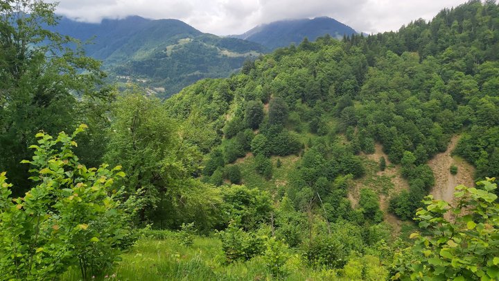 merissi-garetke-georgia-153.jpg