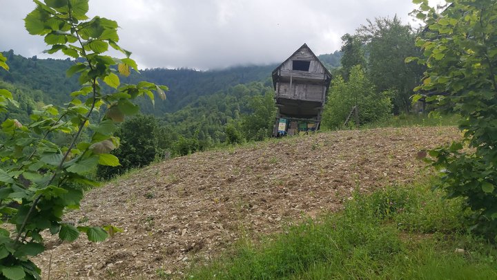 merissi-garetke-georgia-155.jpg
