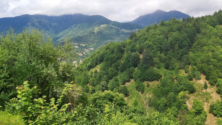 merissi-garetke-georgia-161.jpg