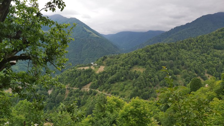 merissi-garetke-georgia-164.jpg