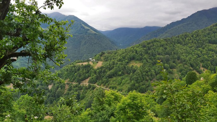 merissi-garetke-georgia-165.jpg