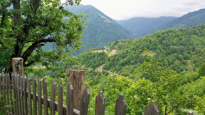 merissi-garetke-georgia-166.jpg