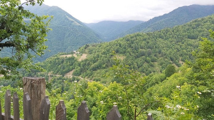 merissi-garetke-georgia-167.jpg