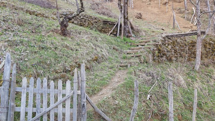 merissi-garetke-georgia-195.jpg