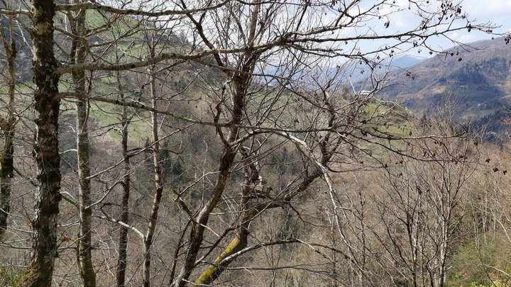 merissi-garetke-georgia-203.jpg