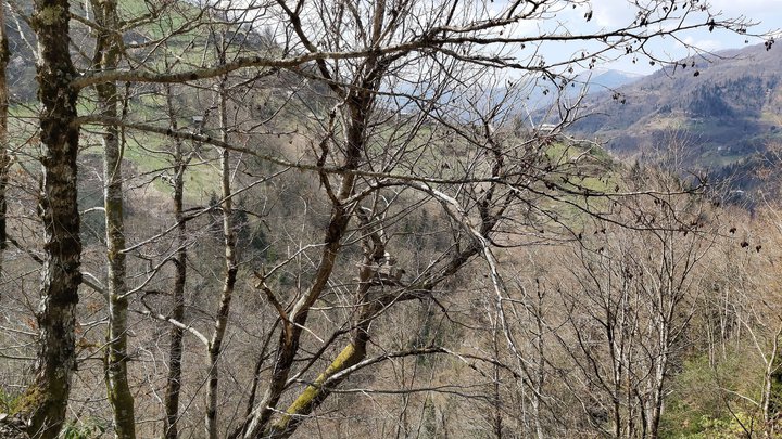 merissi-garetke-georgia-204.jpg
