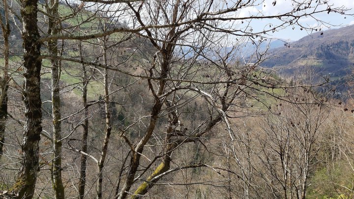 merissi-garetke-georgia-205.jpg