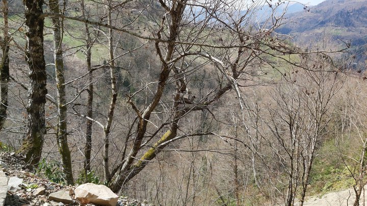 merissi-garetke-georgia-206.jpg