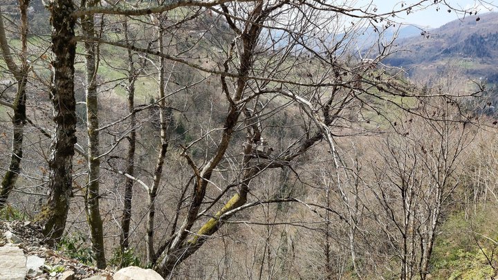 merissi-garetke-georgia-207.jpg