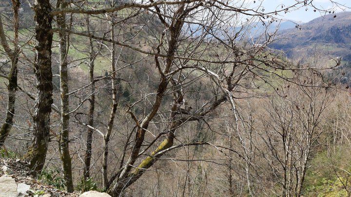 merissi-garetke-georgia-209.jpg