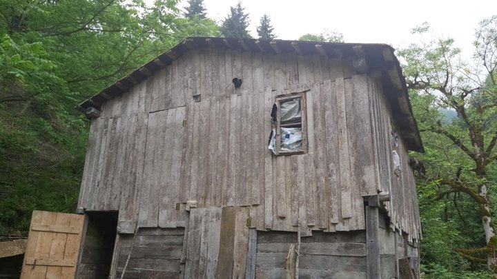 merissi-garetke-georgia-21.jpg