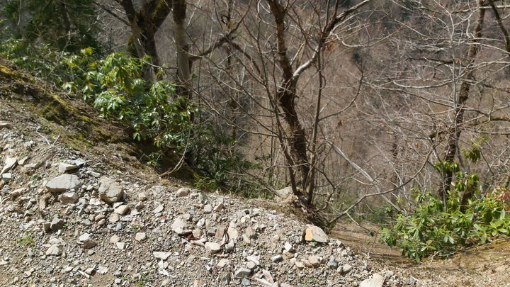 merissi-garetke-georgia-210.jpg