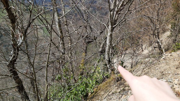 merissi-garetke-georgia-211.jpg